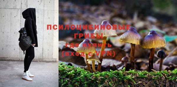 дмт Волоколамск