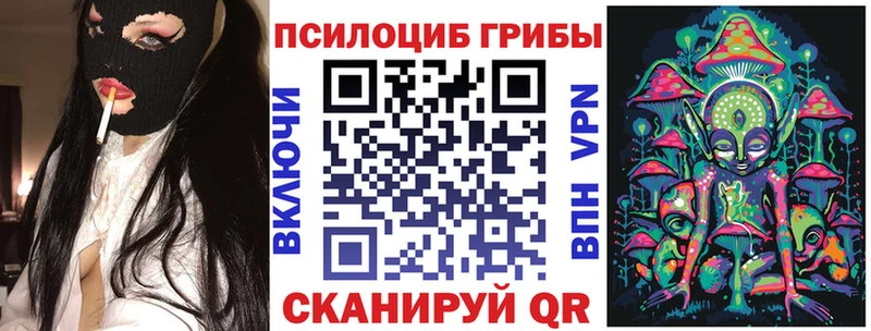 Псилоцибиновые грибы Psilocybe  kraken сайт  Кировск 